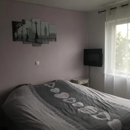 2 Pieces - Quartier Calme - Parking Gratuit Apartment Metz Exterior photo